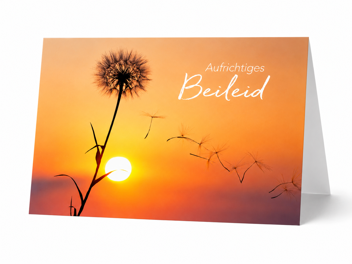 Aufrichtiges Beileid
